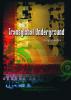 <p style="text-align: justify;">Grand retour &agrave; l'image de ce grand collectif multi-culturel des ann&eacute;es 1990, Transglobal Underground</p>